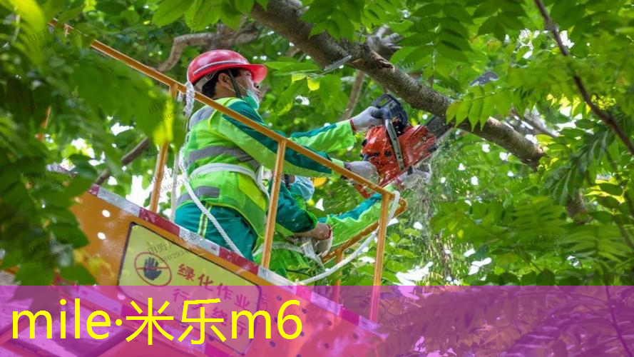 百保利网球拍型号怎么看