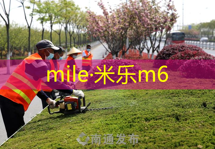 网球拍弹奏乐器有哪些