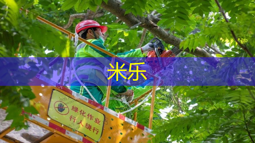 百保利网球拍型号怎么看